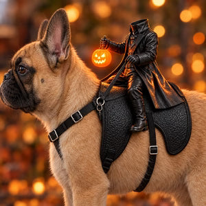 PhantomPaws Headless Horseman Pet/Cat Costume